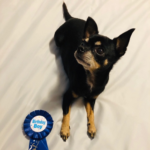 Meet your Posher, Josh - Picture 1 of 1